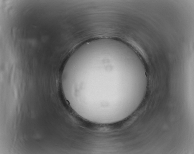 X0000116140113200911230939