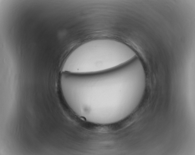 X0000116140115200911230939