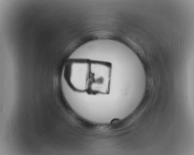 X0000116140117200911230939
