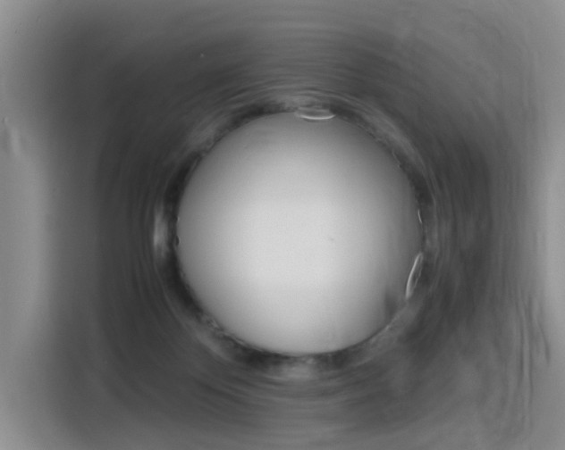 X0000116140124200911230939