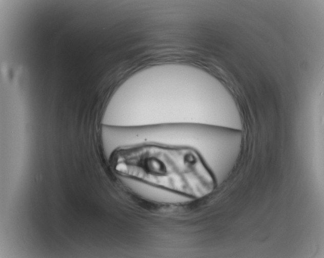 X0000116140125200911230939