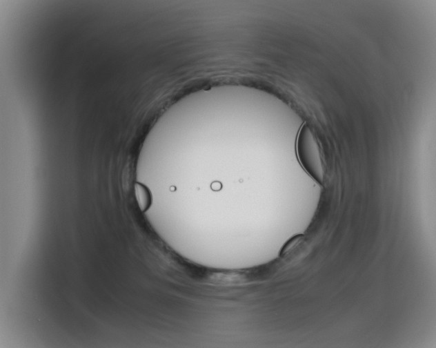 X0000116140133200911230939