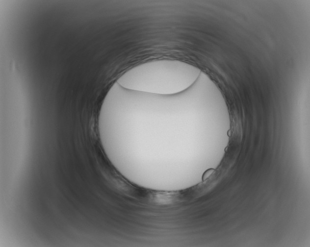 X0000116140134200911230939
