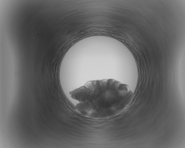 X0000116140135200911230939