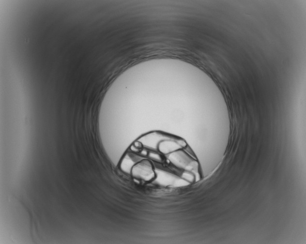 X0000116140136200911230939