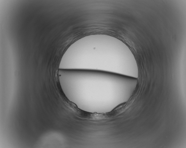 X0000116140141200911230939