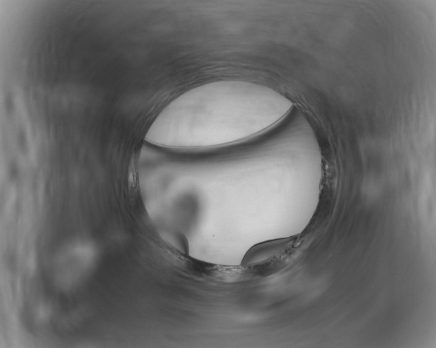 X0000116140143200911230939