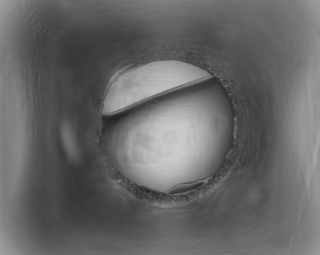X0000116140144200911230939