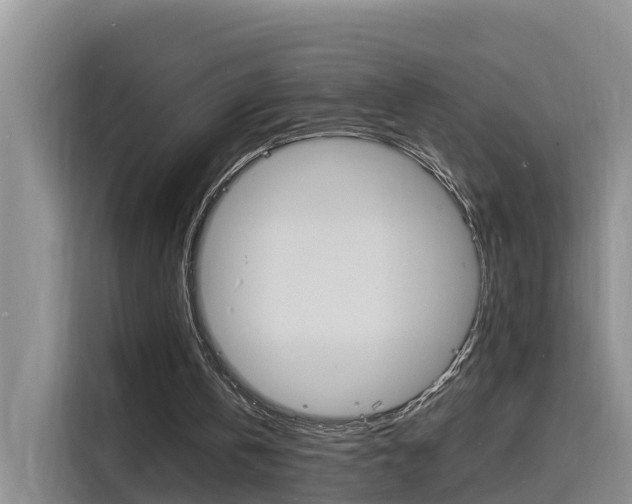 X0000116140146200911230938