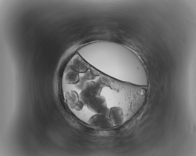 X0000116140149200911230938