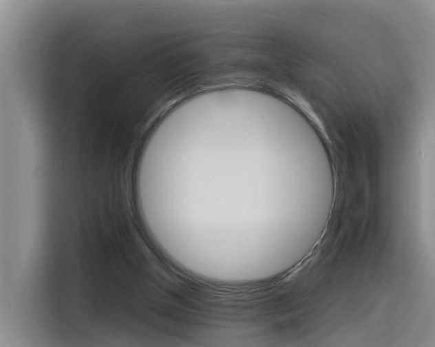 X0000116140154200911230938