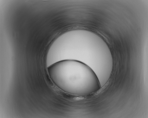 X0000116140158200911230938