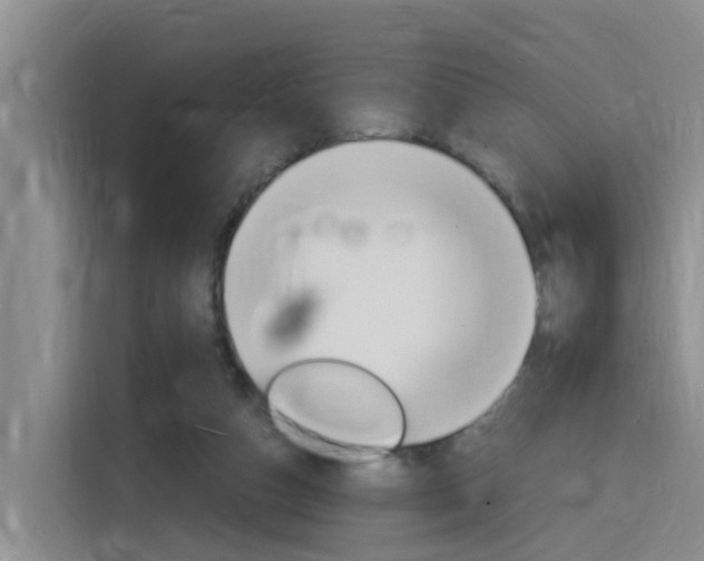X0000116140162200911230938