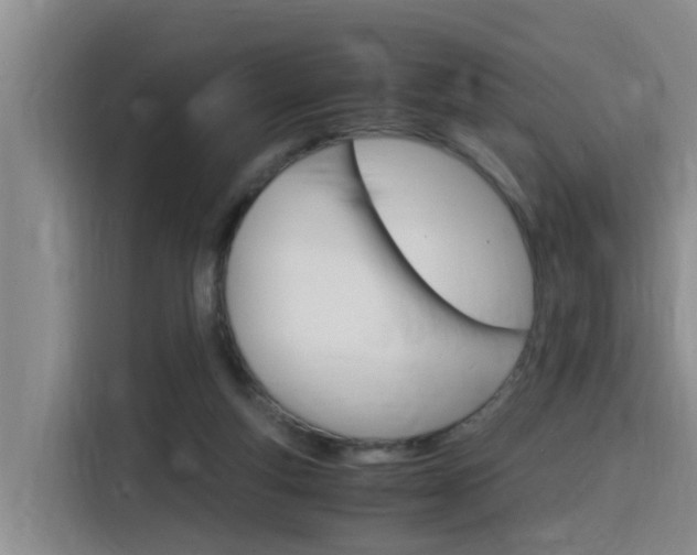 X0000116140163200911230939