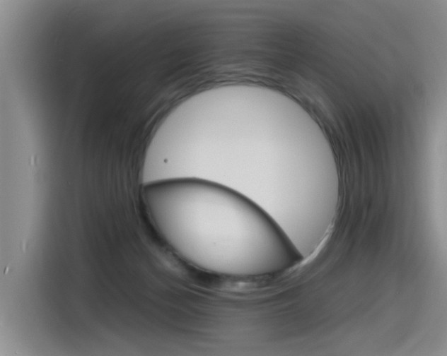 X0000116140174200911230939