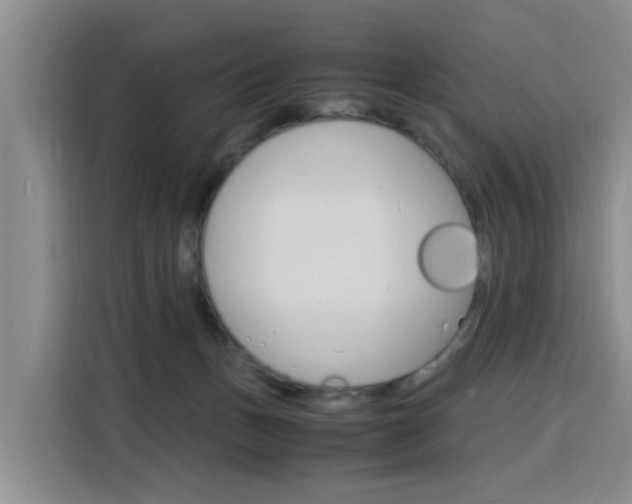 X0000116140175200911230939