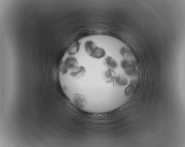 X0000116140177200911230939