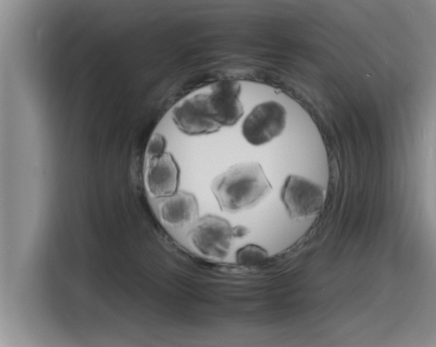 X0000116140181200911230939