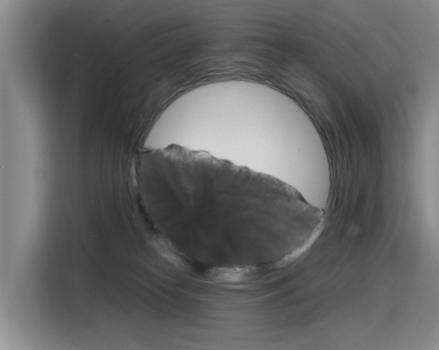 X0000116140182200911230939