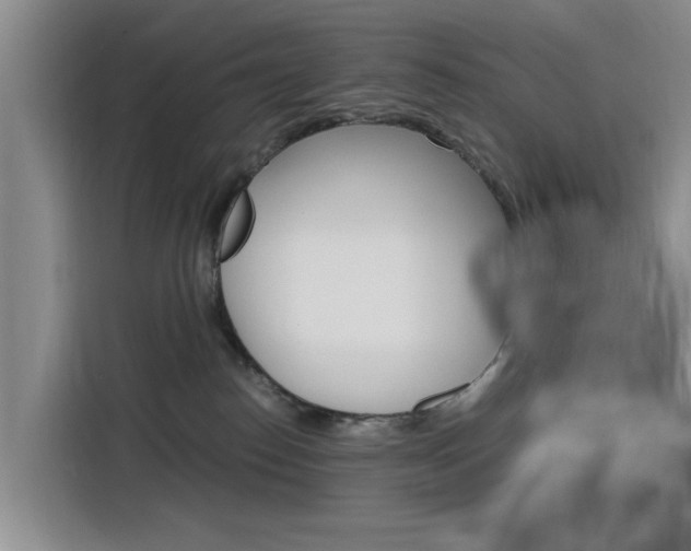 X0000116140186200911230939