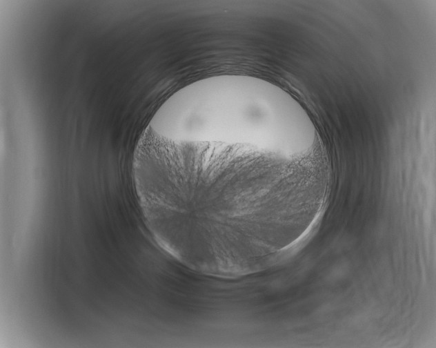 X0000116140191200911230939