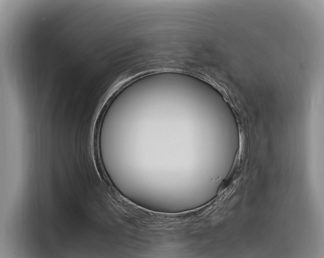 X0000116140195200911230938