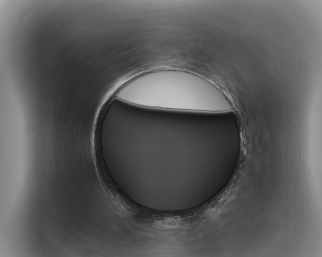 X0000116140196200911230938