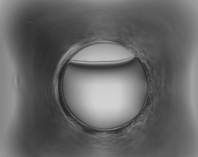 X0000116140197200911230938