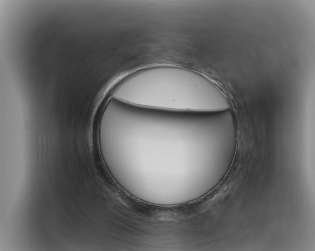 X0000116140200200911230938
