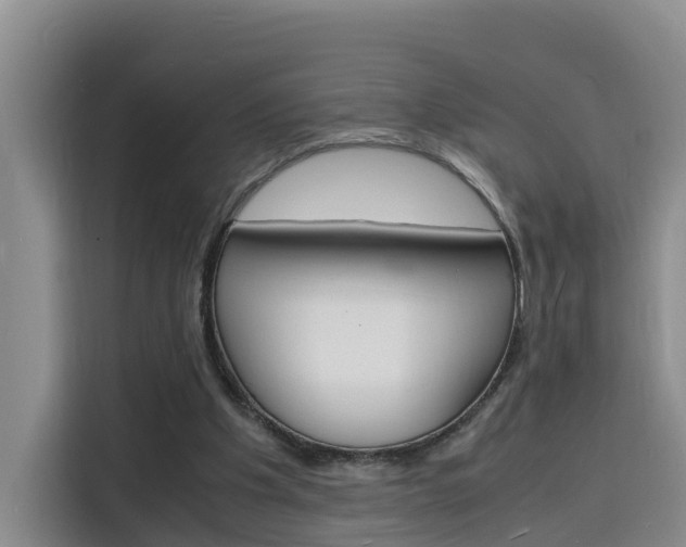 X0000116140201200911230938