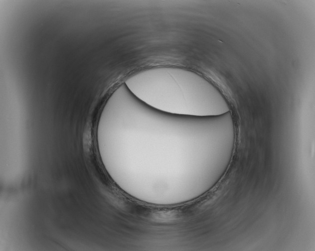 X0000116140202200911230938