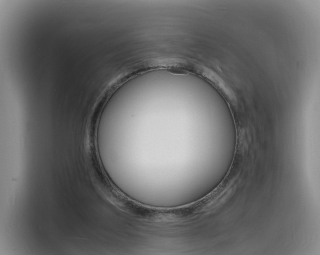 X0000116140203200911230938