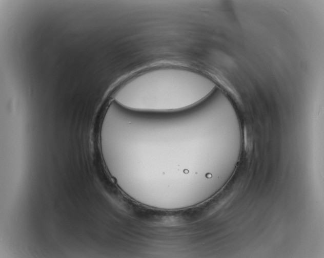 X0000116140204200911230938