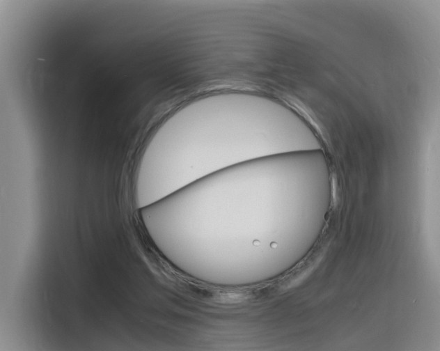 X0000116140205200911230938