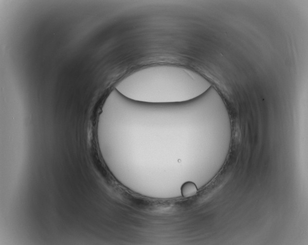 X0000116140206200911230938