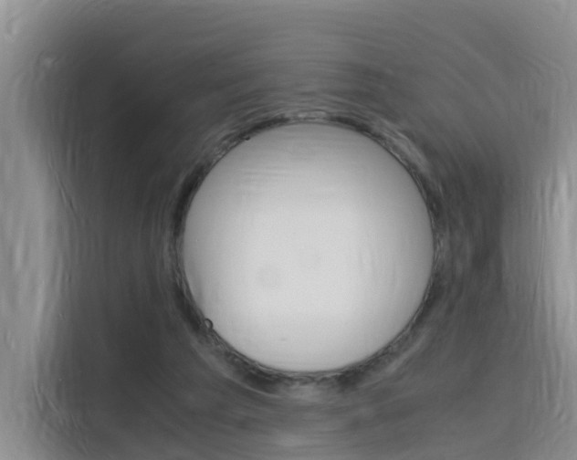 X0000116140209200911230938