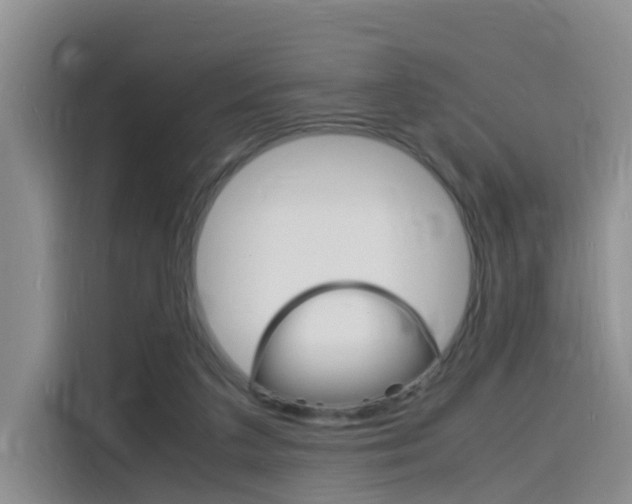 X0000116140211200911230938