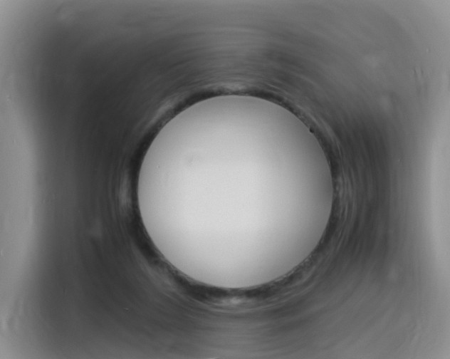 X0000116140212200911230938