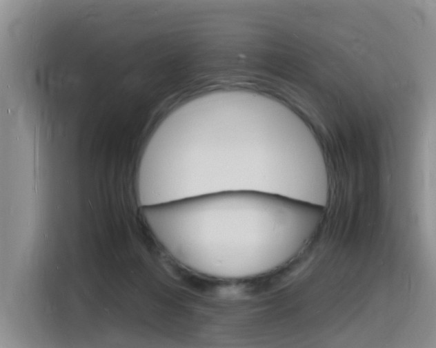X0000116140216200911230938