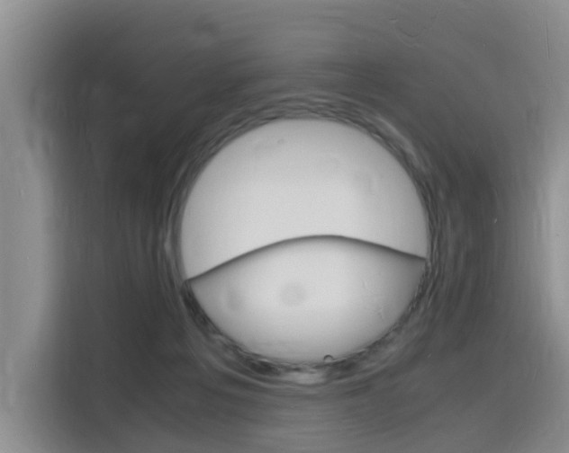 X0000116140217200911230938