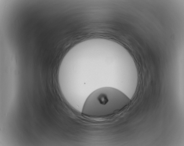 X0000116140219200911230938