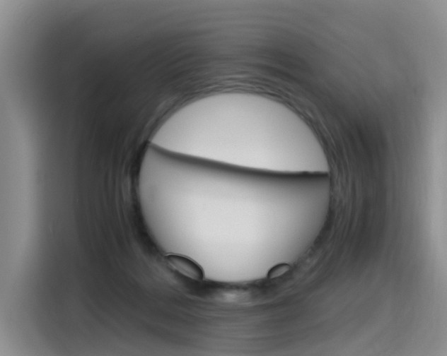 X0000116140220200911230938