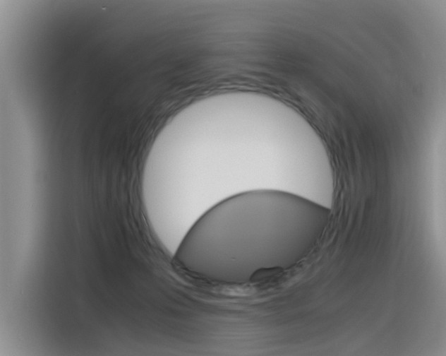 X0000116140223200911230938