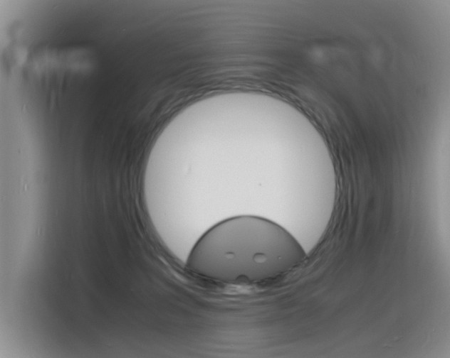 X0000116140227200911230938