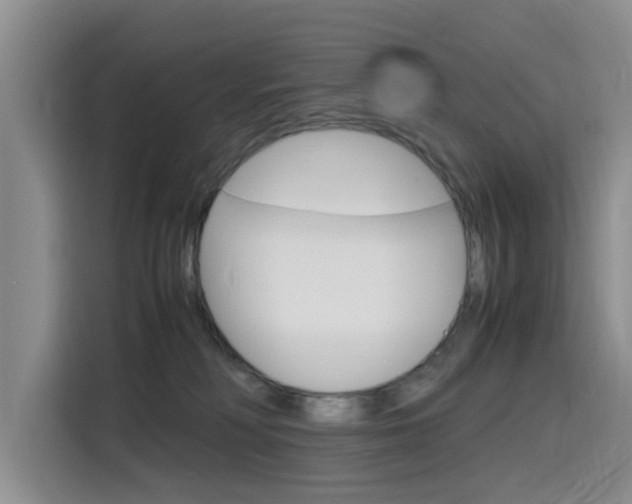 X0000116140230200911230938