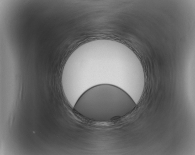 X0000116140231200911230938