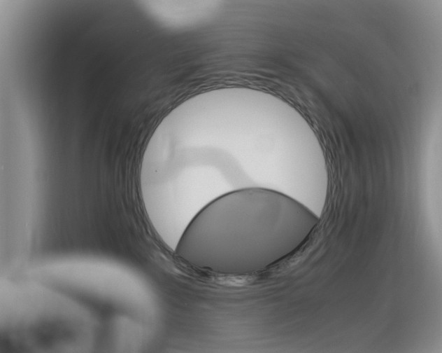 X0000116140235200911230938