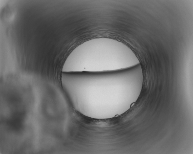 X0000116140236200911230938