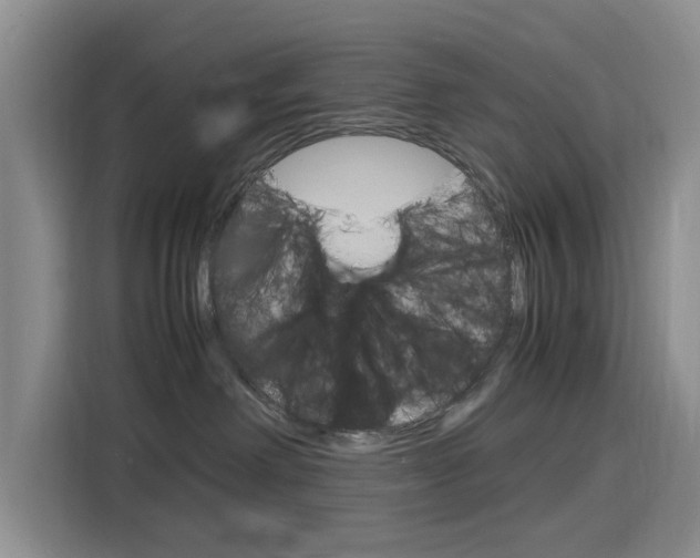 X0000116140238200911230938