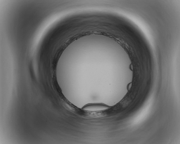 X0000116140239200911230938